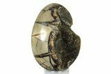 Septarian Dragon Egg Geode #253565-1